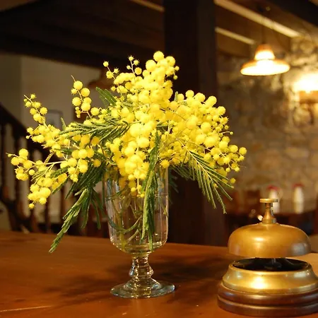 Casa Aspron 科瓦东加