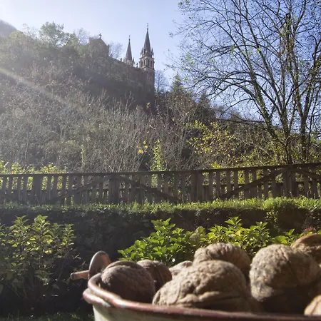 Casa Aspron 乡村民宿 *