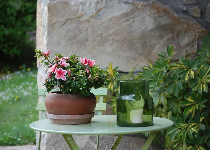 Casa Aspron * Covadonga